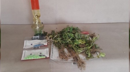 Yayladaki evinin balkonunda kenevir yetiştirmiş