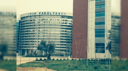 Yeni enstitü, fakülte ve yüksekokullar kuruldu