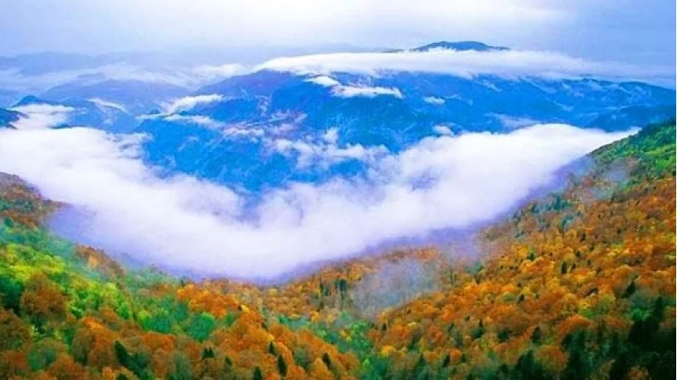 Yenice Ormanları: Orman köylüsünün mücadelesi ve turizm atılımı