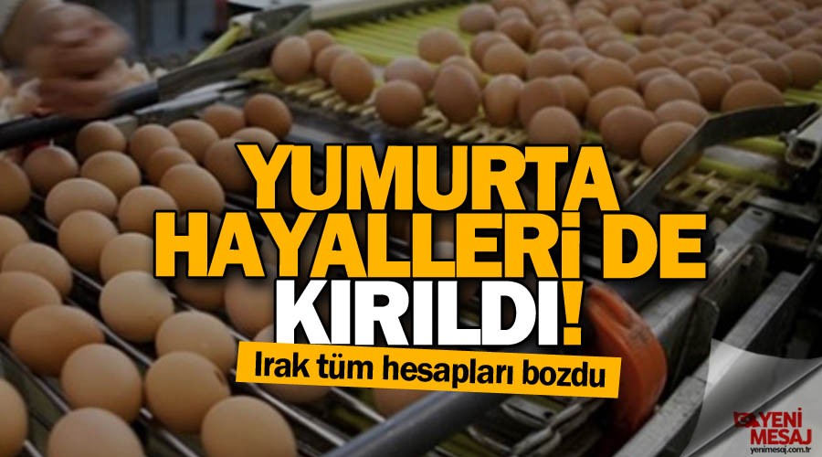 Yumurta ihracat� durdu