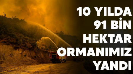 10 yılda 91 bin hektar ormanımız yandı