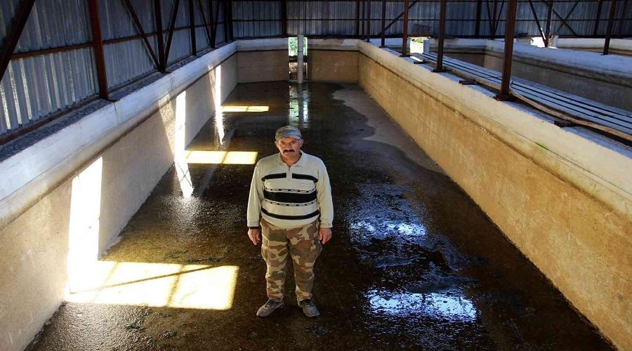 20 havuzdan 15'i kurudu... Balıklar susuz kaldı