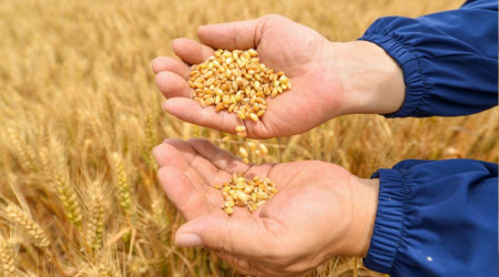 2023’te dünyayı felaket bekliyor