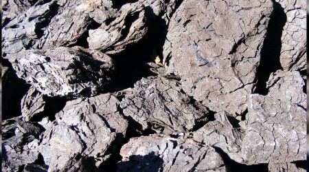 5 milyon ton linyit retildi