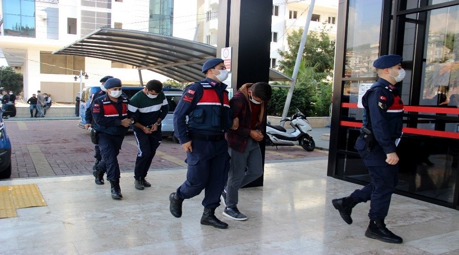 7 bin liral�k avokado �ald�lar