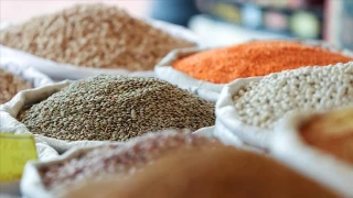 Afrika'nın gıdası Türkiye'den