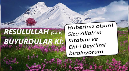 'Ali daima Kur'ân'la beraberdir'