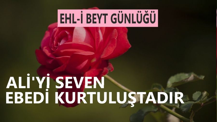 Ali�yi seven ebedi kurtulu�tad�r