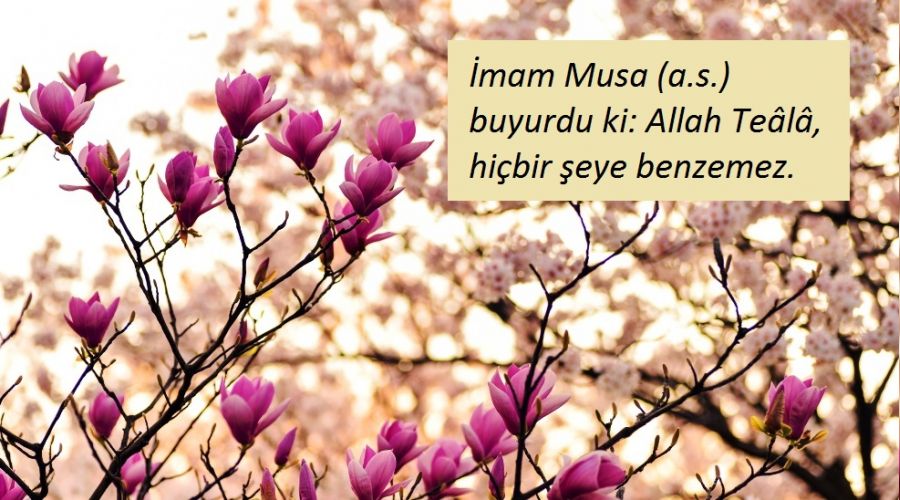 Allah, cisimle ve suretle vasfedilemez