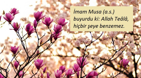 Allah, cisimle ve suretle vasfedilemez