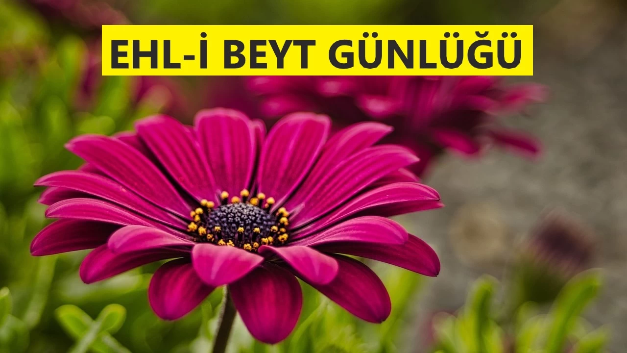 Allah’ın tayin ettiğine itaat farzdır