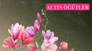 ‘Allah’tan korkan günahlarından sıyrılır
