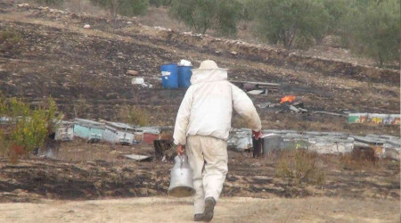 Antalya'da arı kovanları alev alev yandı