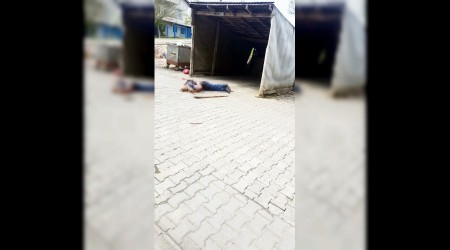 Arazi kavgası kanlı bitti