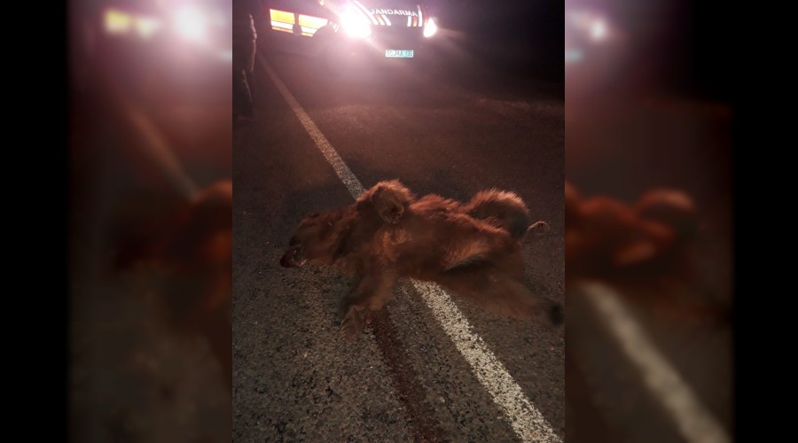 Ay� ile kamyon �arp��t�