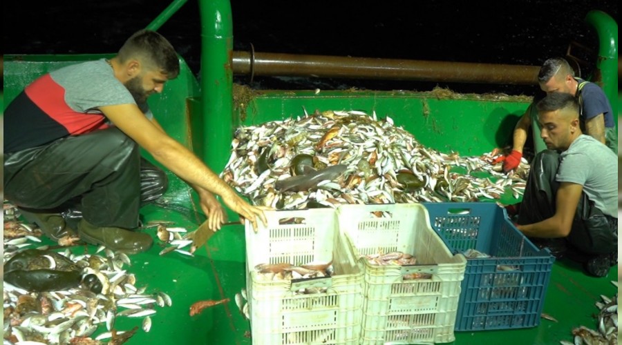 Ayvalık'ta balıkçılar "Vira Bismillah" dedi