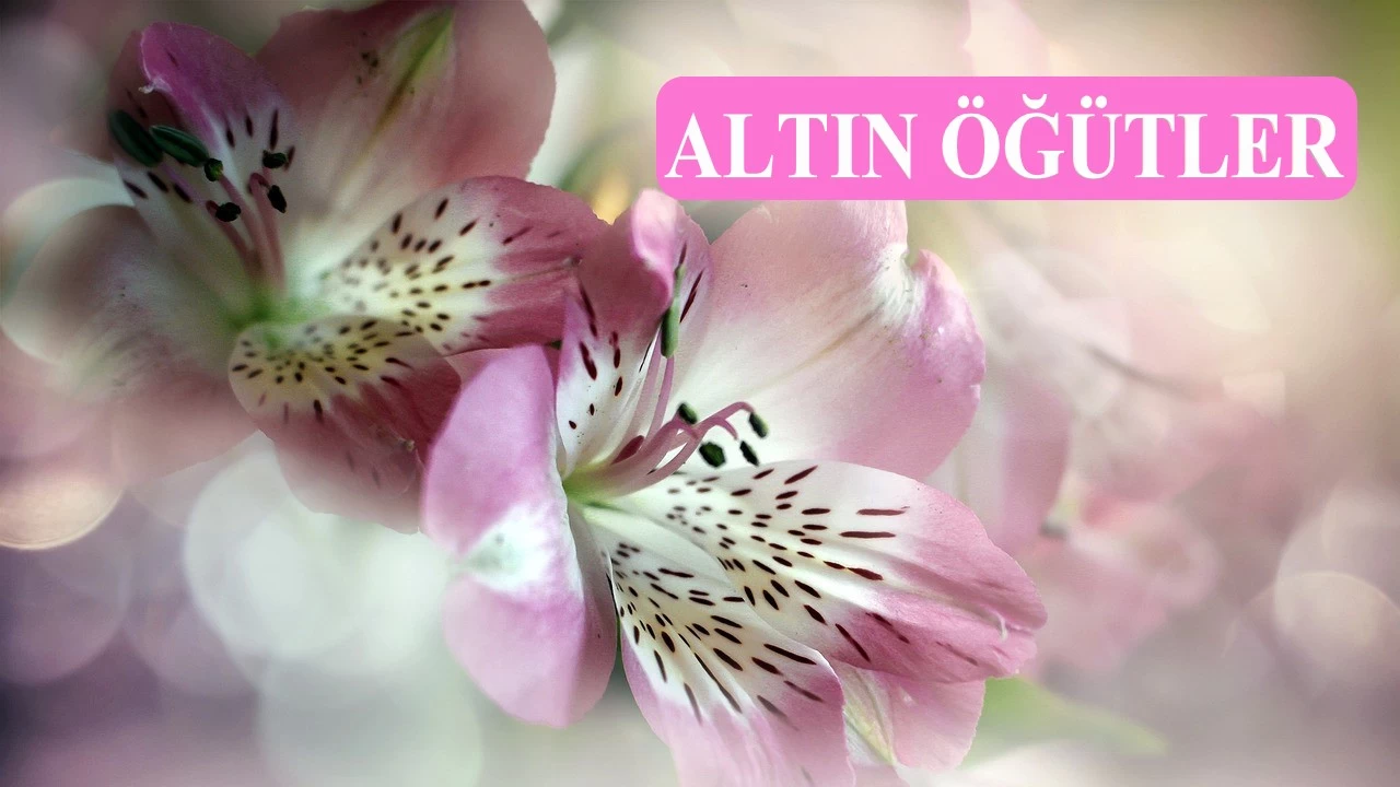 Azrail’in gönderdiği ön haberciler