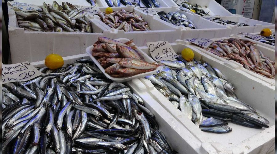 Bal�k�� tezgahlar�nda durgunluk