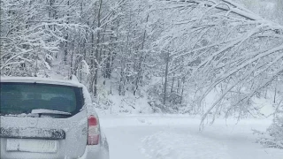 Bartın'da kar yağışı başladı, bir saatte 7 kaza oldu