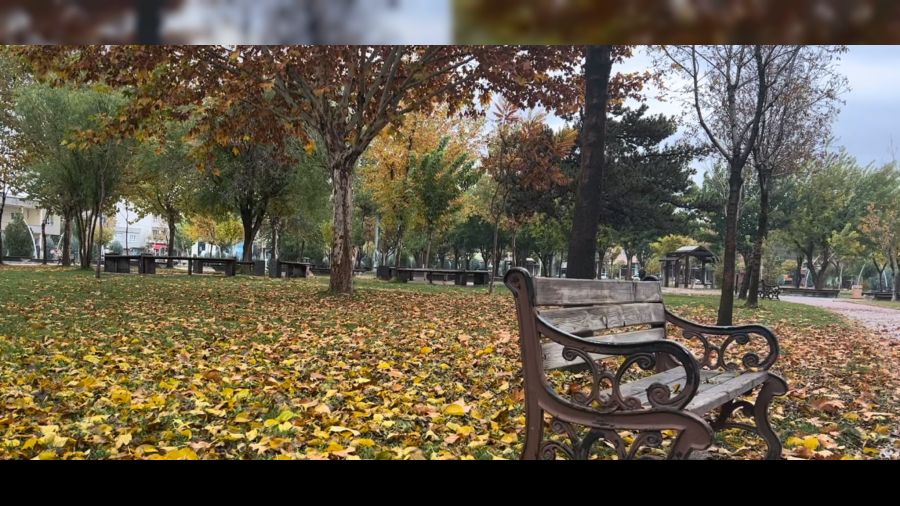 Batman�da sonbahar yapraklar� s�p�r�lmeyecek  
