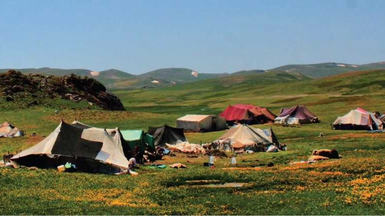 Berçelan Yaylası: Hakkâri'nin saklı cenneti