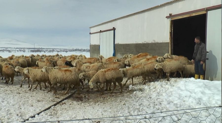 Besicinin 4 günlük esareti bitti