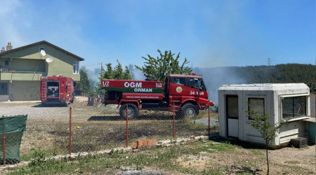 Beykoz'da korkutan orman yangını