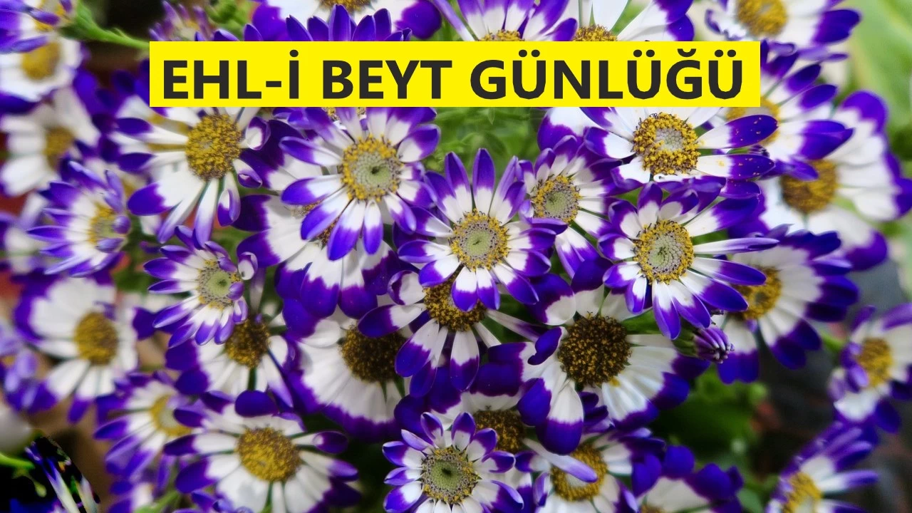 ‘Bilim velayetimiz kullardan sorulacaktır’