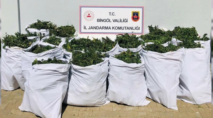 Bing�l'de uyu�turucu operasyonu: 4 g�zalt�