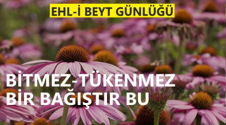 Bitmez-tkenmez bir batr bu