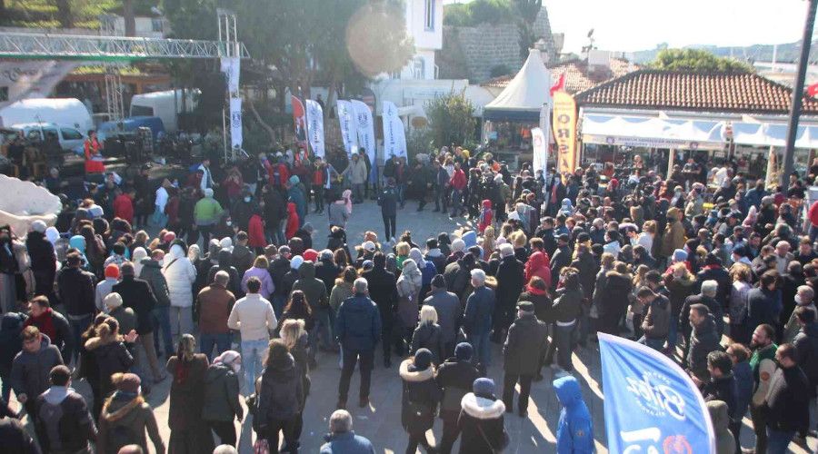 Bodrum'da 2,5 ton hamsi dağıtıldı, metrelerce kuyruk oluştu