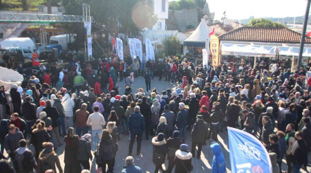Bodrum'da 2,5 ton hamsi dağıtıldı, metrelerce kuyruk oluştu