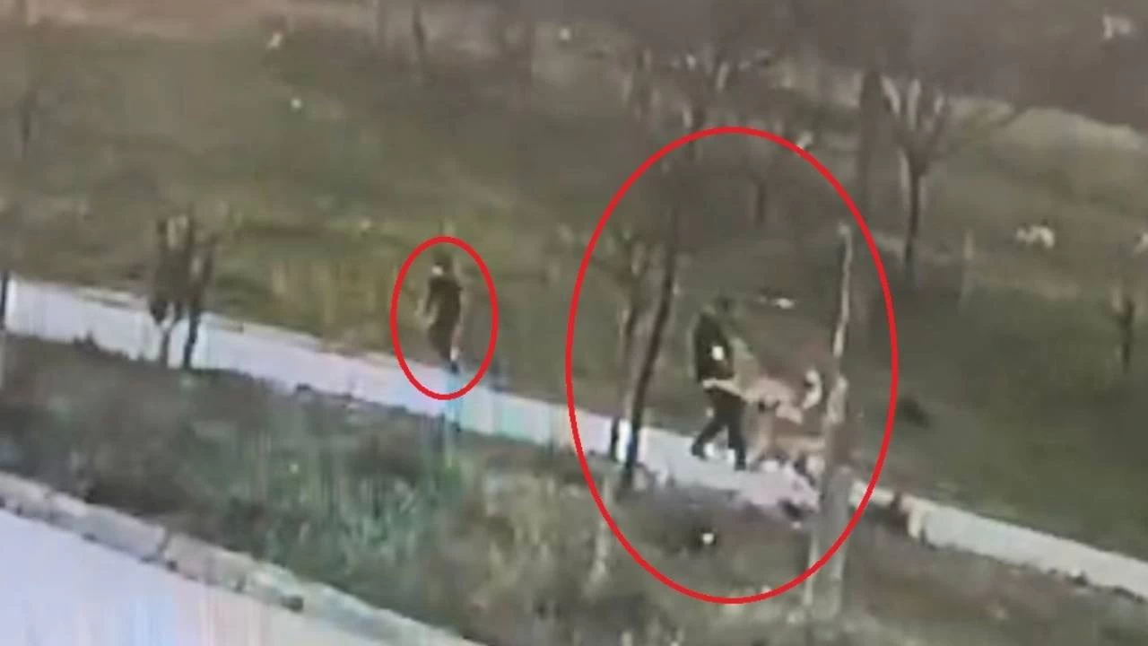 Bursa'da ba��bo� k�pek deh�eti: O�lu i�in kendini feda etti