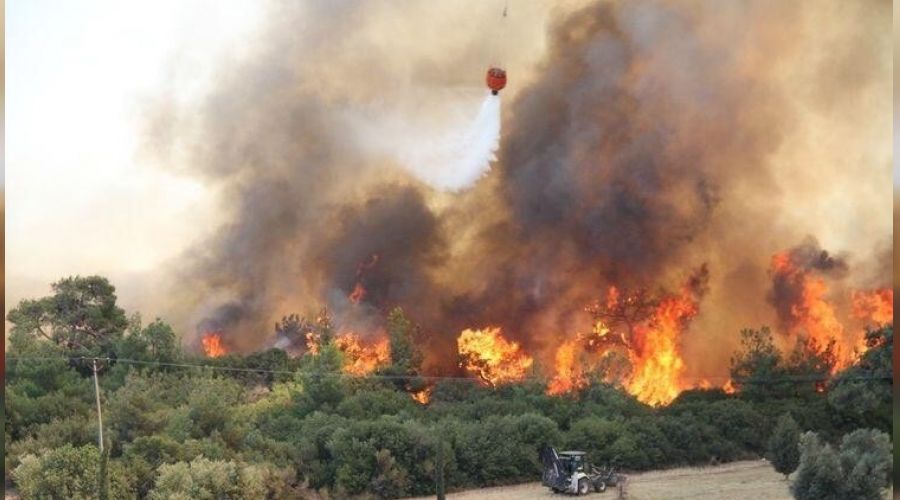 anakkale'de orman yangnna mdahale ediliyor