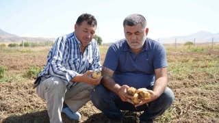 Çiftçile çalıştıracak işçi bulamakta zorlanıyor