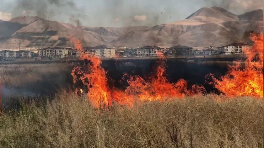 Çocukların oyunu 20 dönüm buğday tarlasını kül etti