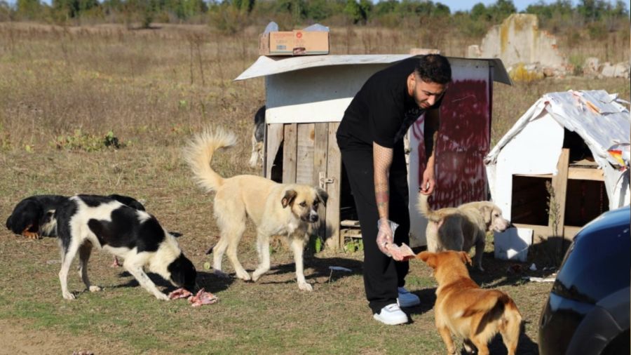 "Daha sonra alacağız" diyerek 80 köpeği boş araziye bıraktılar