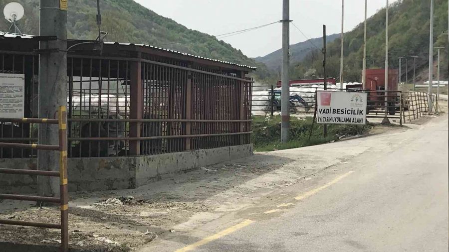Denizi kirleten besi firmasına cezası kesildi