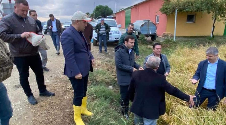 Dolu ya���� 13 bin d�n�m �eltik tarlas�na zarar verdi