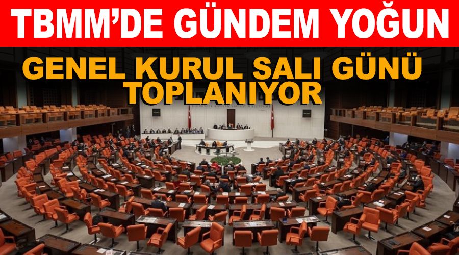 Down sendromu, otizm, ALS, SMA, DMD, MS...TBMM nadir grlen hastalklar grecek