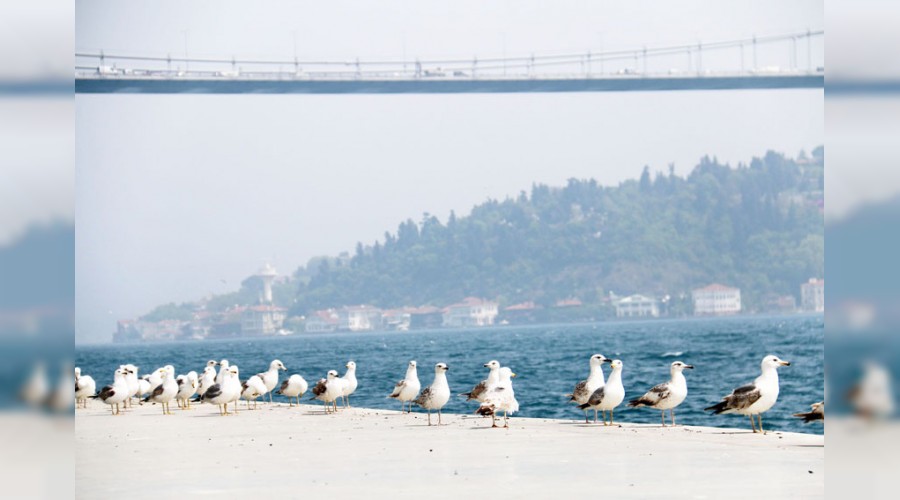 Emirgan sahili mart�lara kald� 
