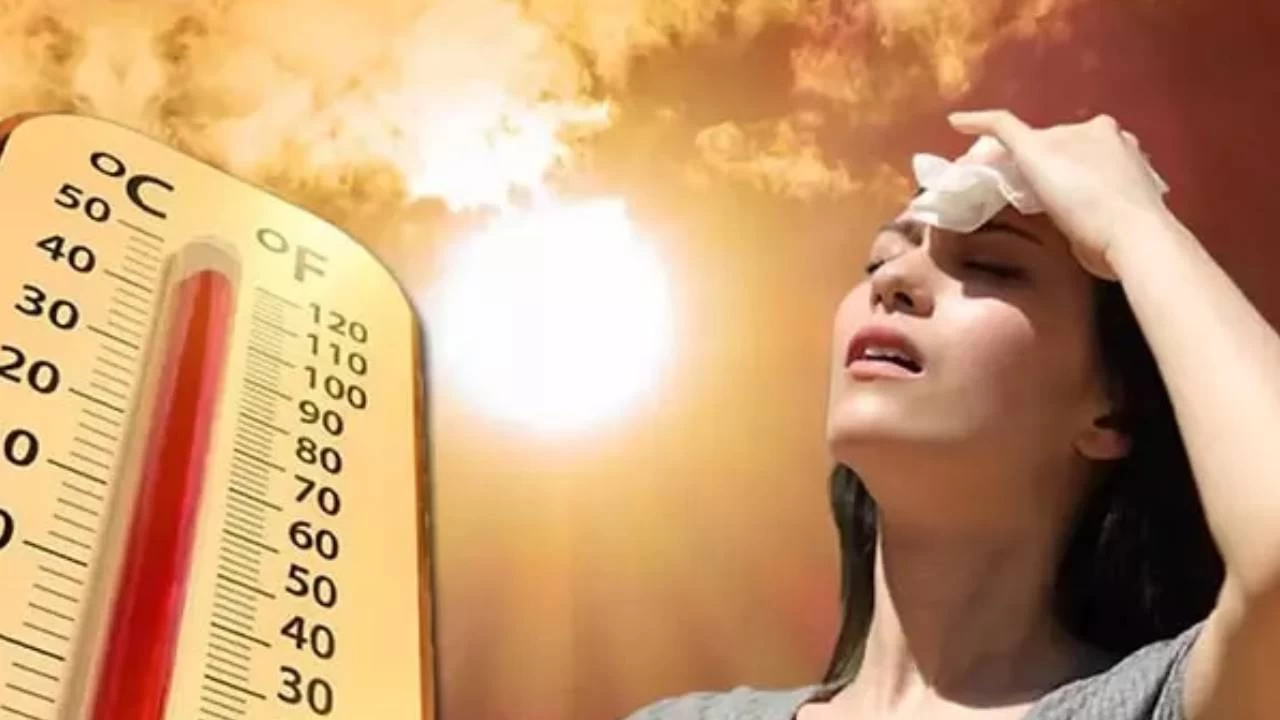 En sıcak kış geride kaldı, sırada en sıcak bahar var