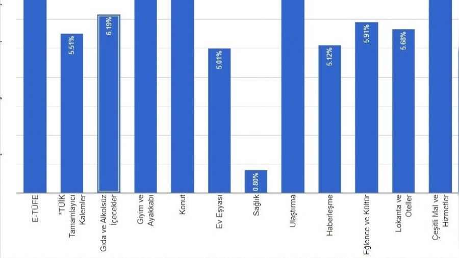 ENAG: Enflasyon y�zde 175.5