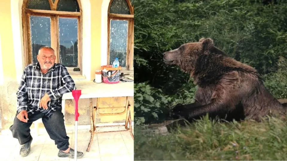 Evinin önündeki kanepede uyuduğu sırada ayı saldırdı