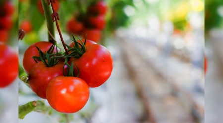 ‘Fahiş fiyatların suçlusu marketler’