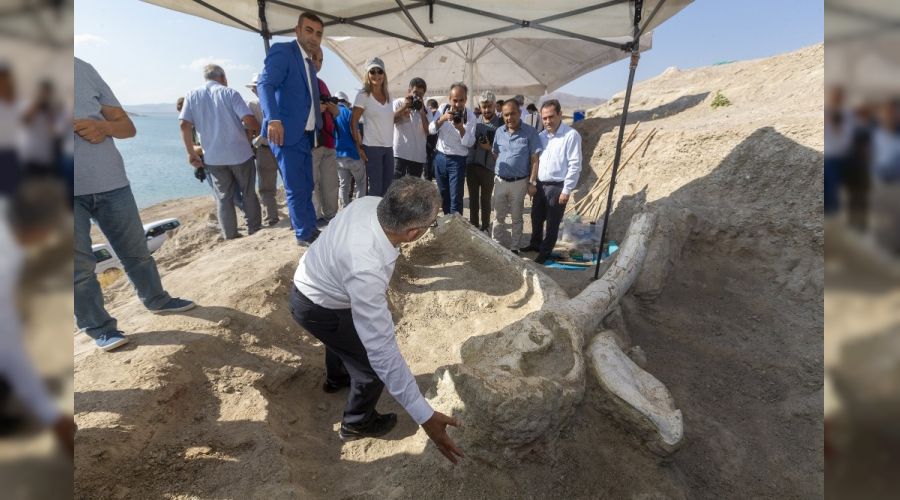 Fillerin atas� Kayseri'de, tam 7,5 milyon y�ll�k !