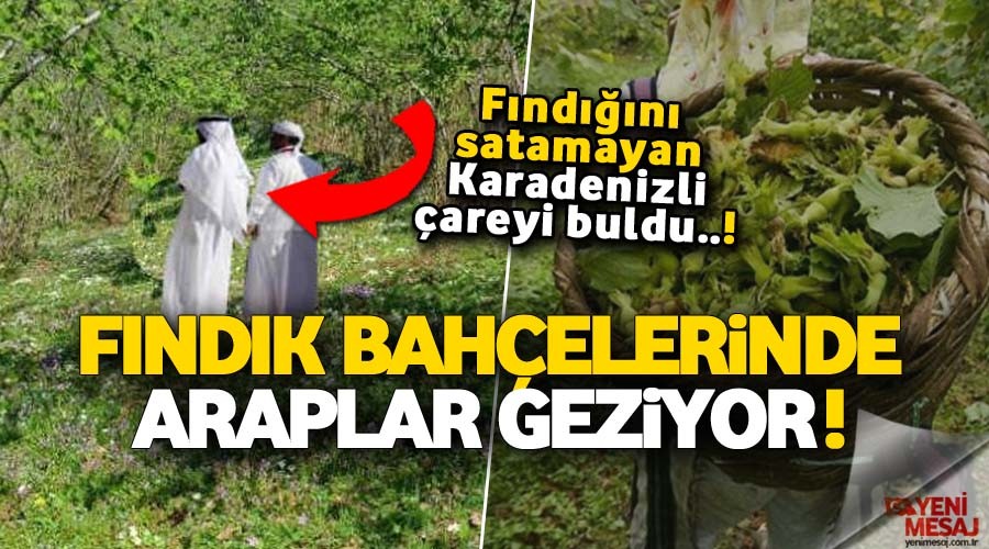 Fındık bahçeleri Araplara satılıyor