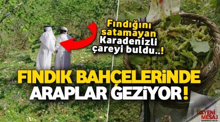 Fındık bahçeleri Araplara satılıyor