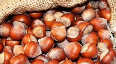 Fındık ihracatında İtalya Almanya'yı geçti