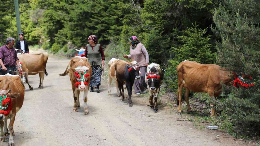 Gümüşhane'de yayla göçü başladı